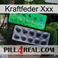 Power Spring Xxx new04